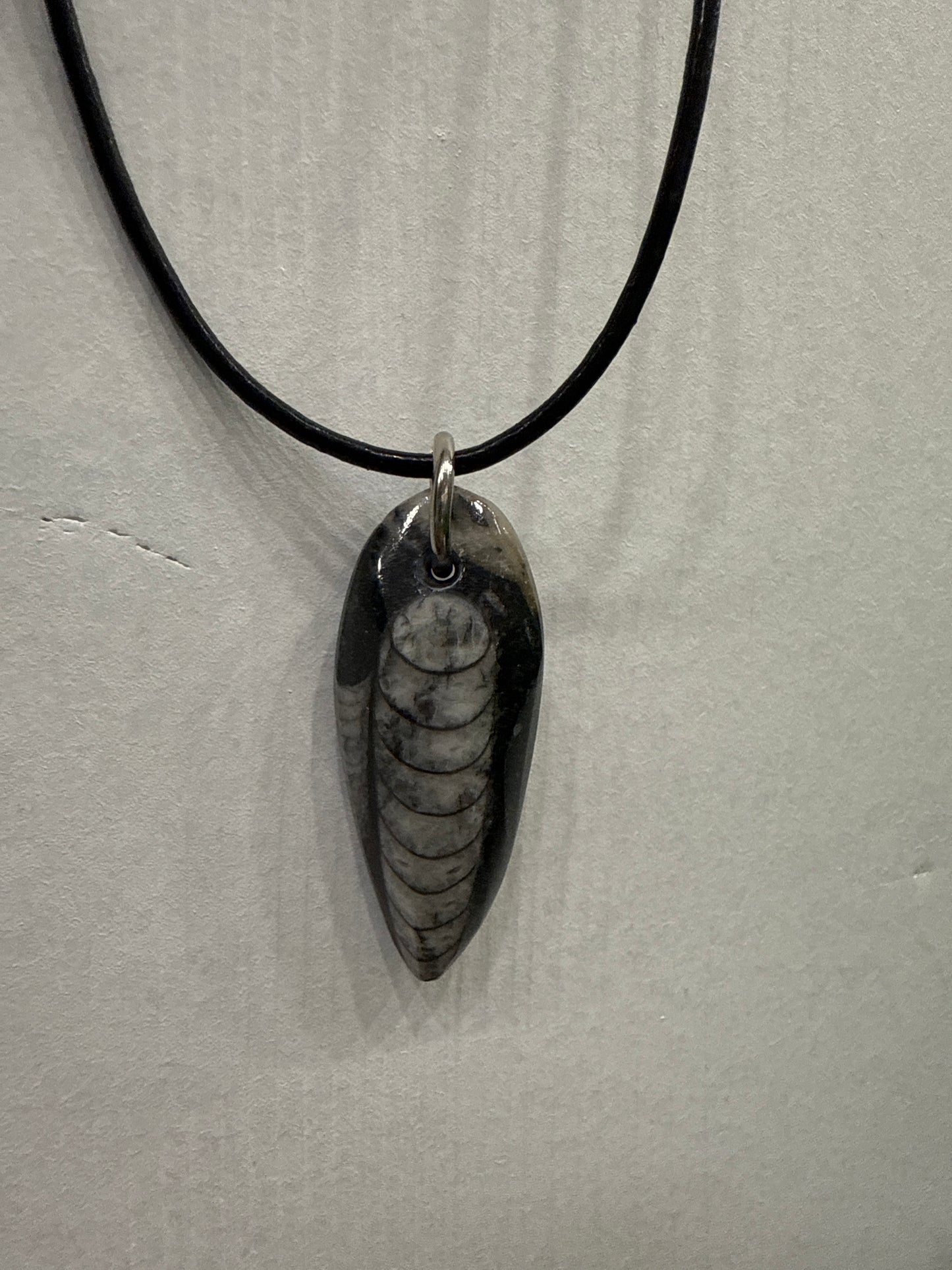Orthoceras Fossil Necklace