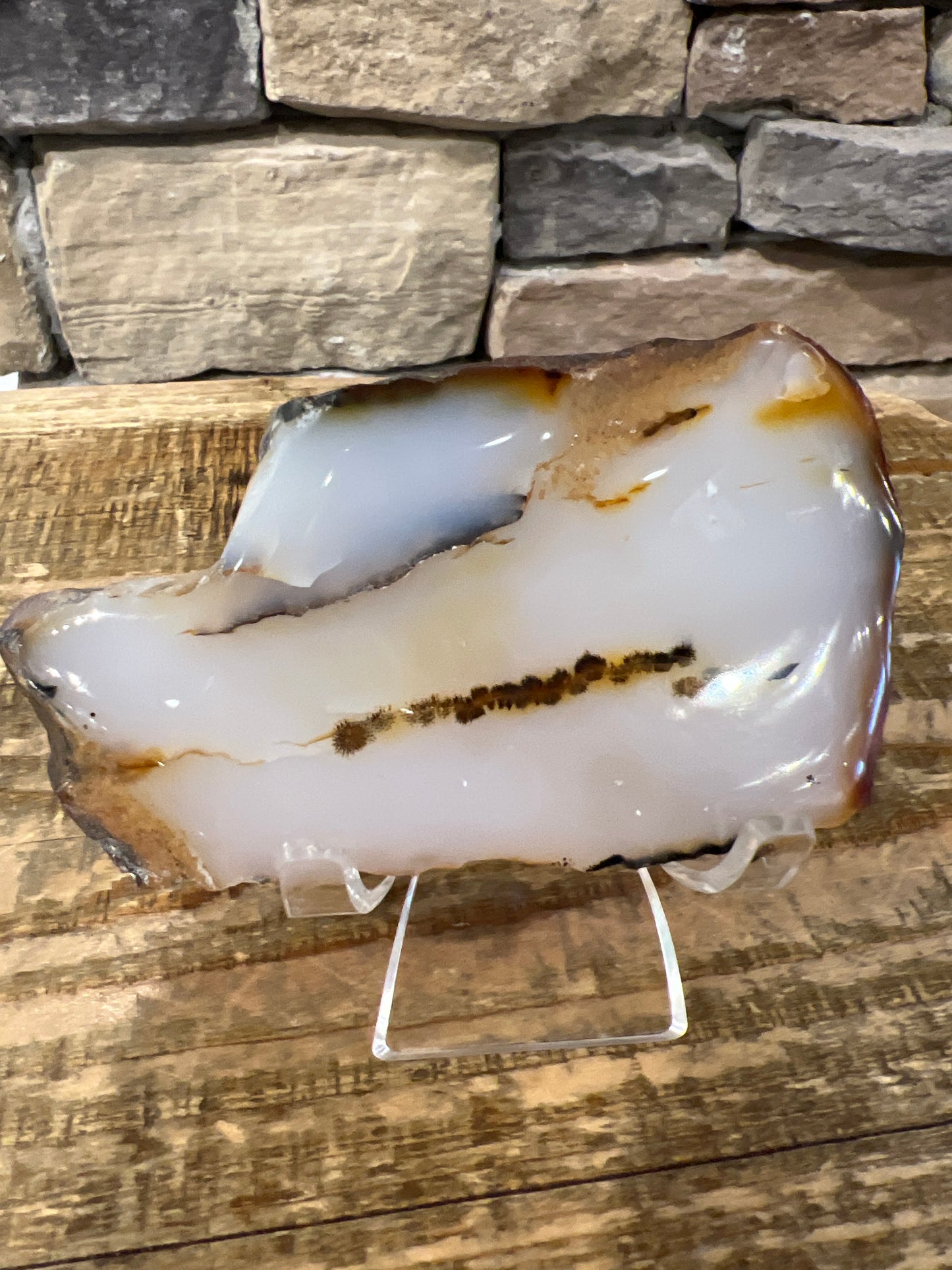 Thick Dendritic Agate Slab