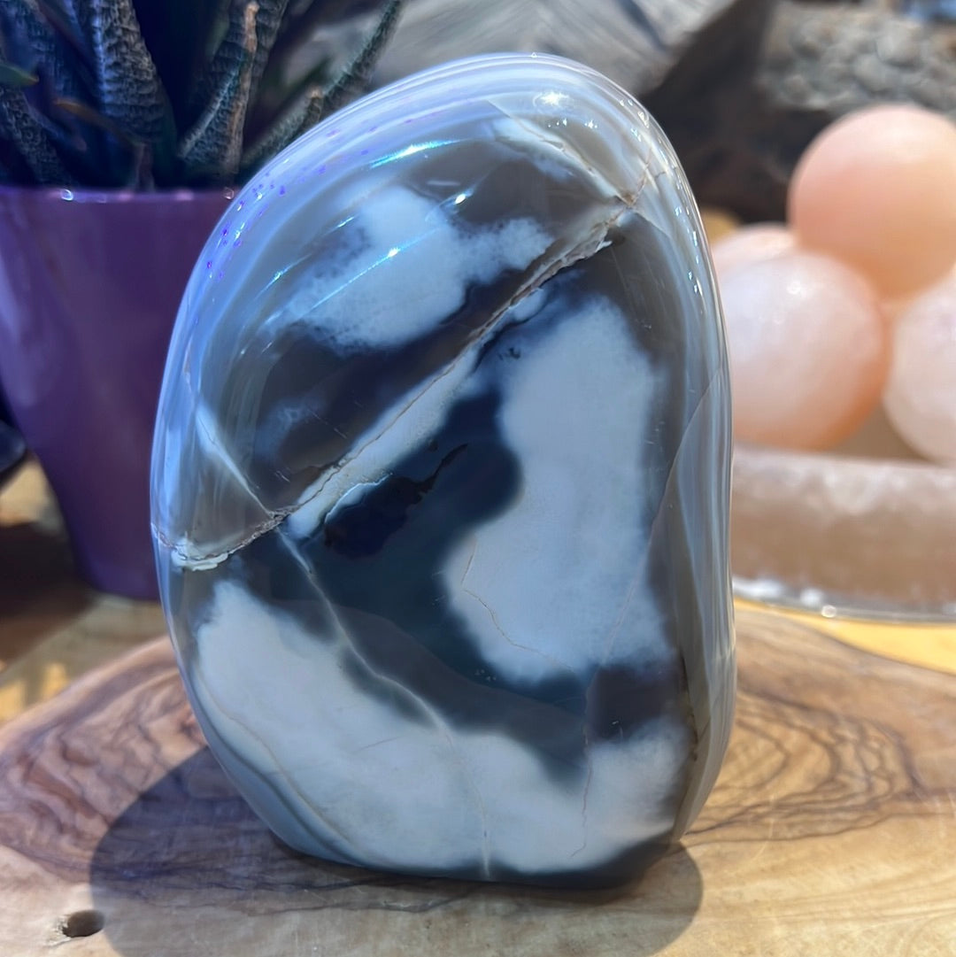 Orca Agate Freeform