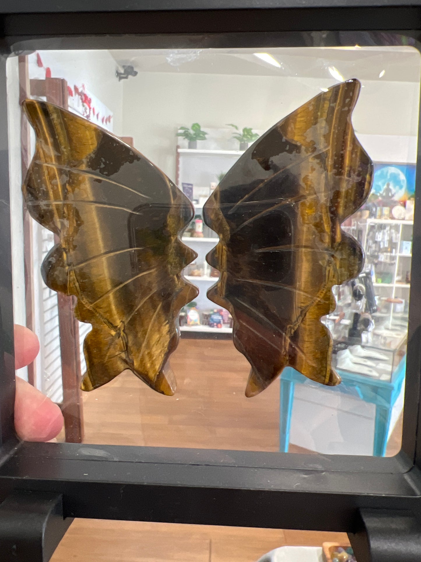 Tigers Eye Butterfly Wings