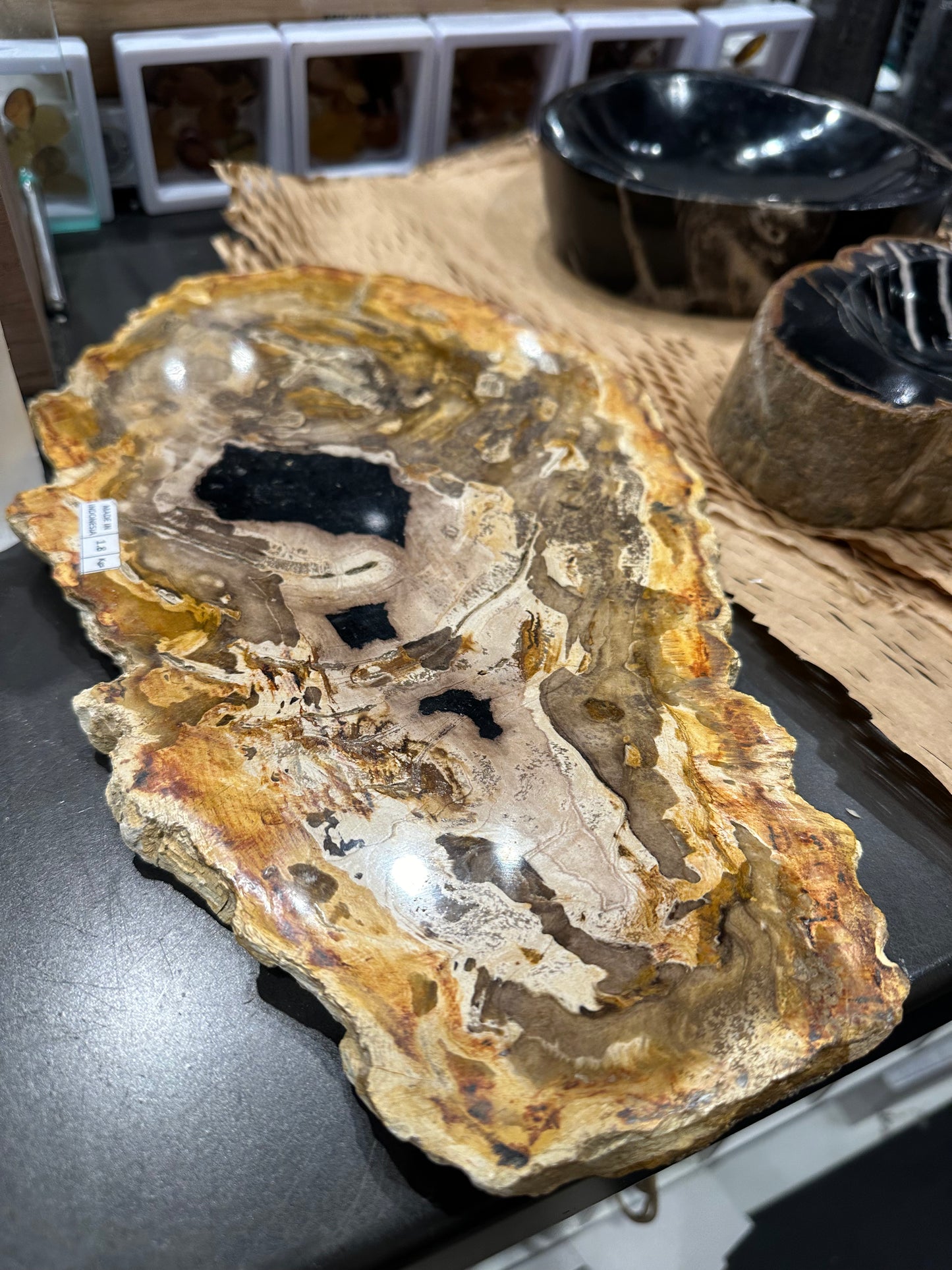 Large Petrified Wood Slab