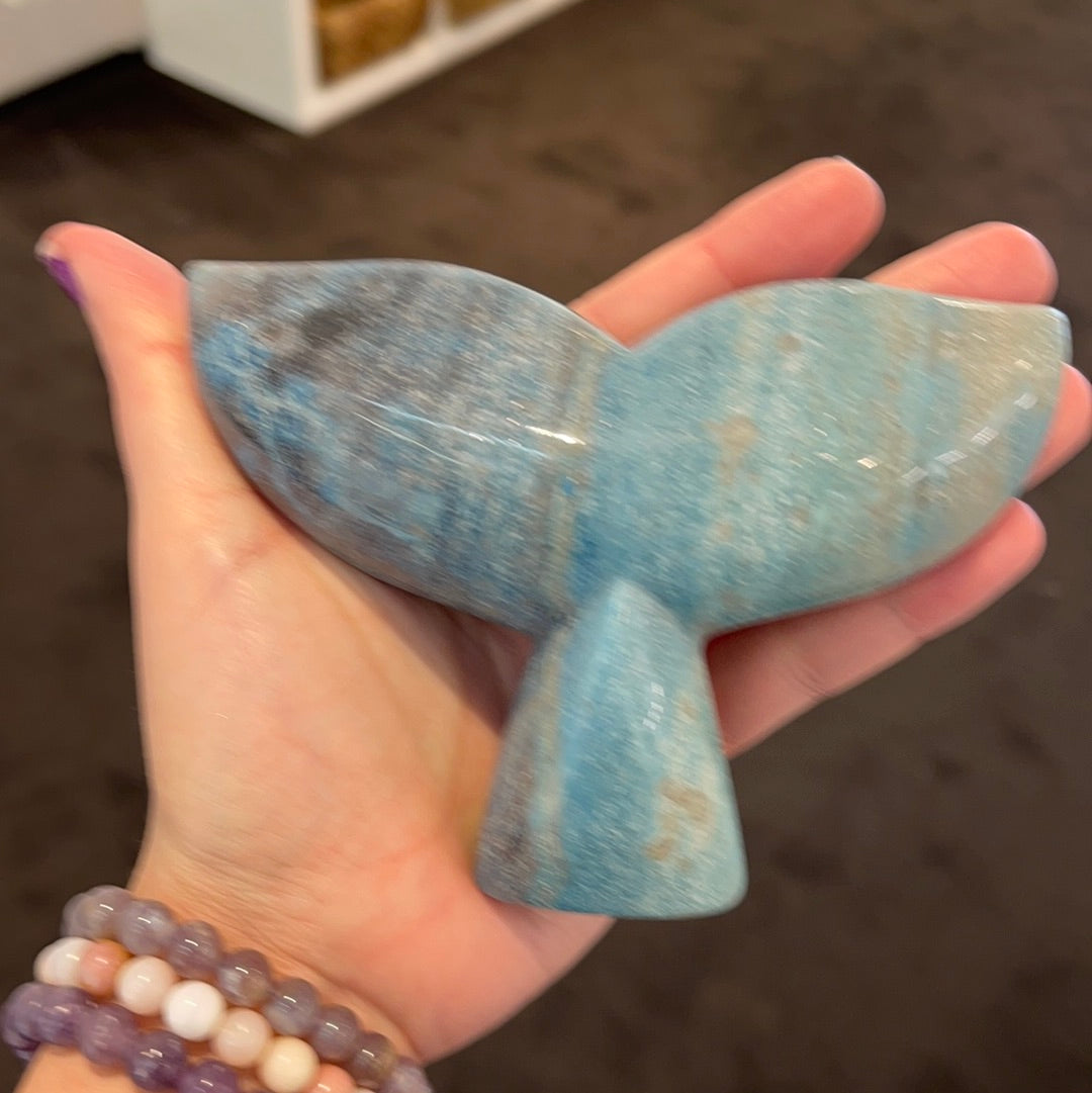 Large Trolleite Whale Tails