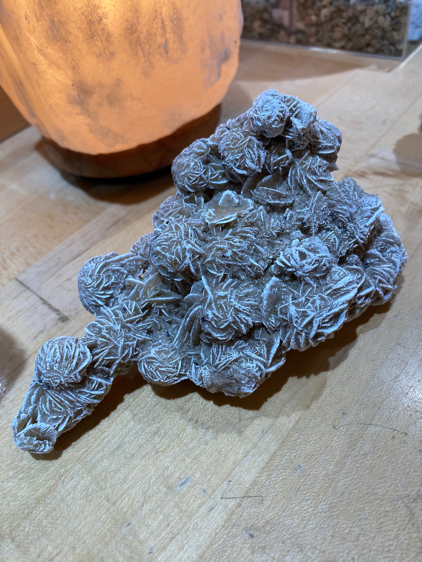 Desert Rose Cluster