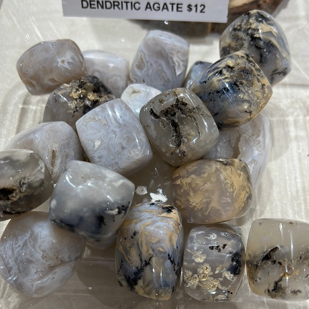 Dendritic Agate Tumble