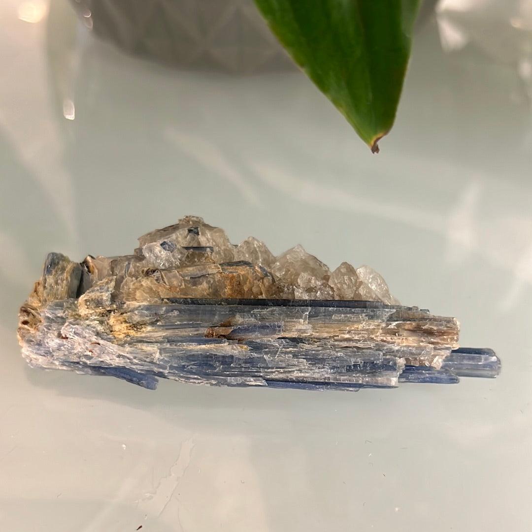 Kyanite Cluster