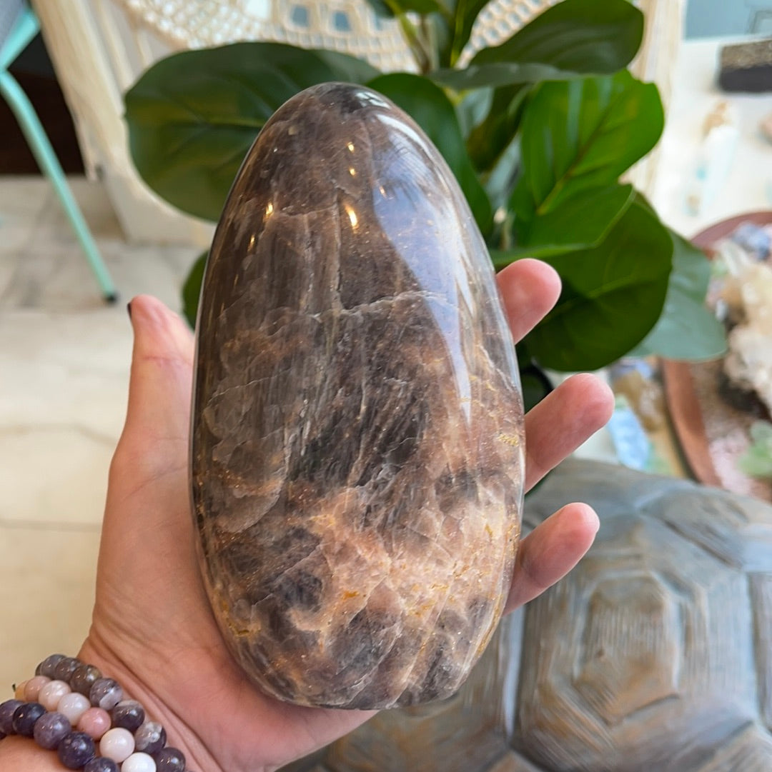 Large Black Moonstone Freeform