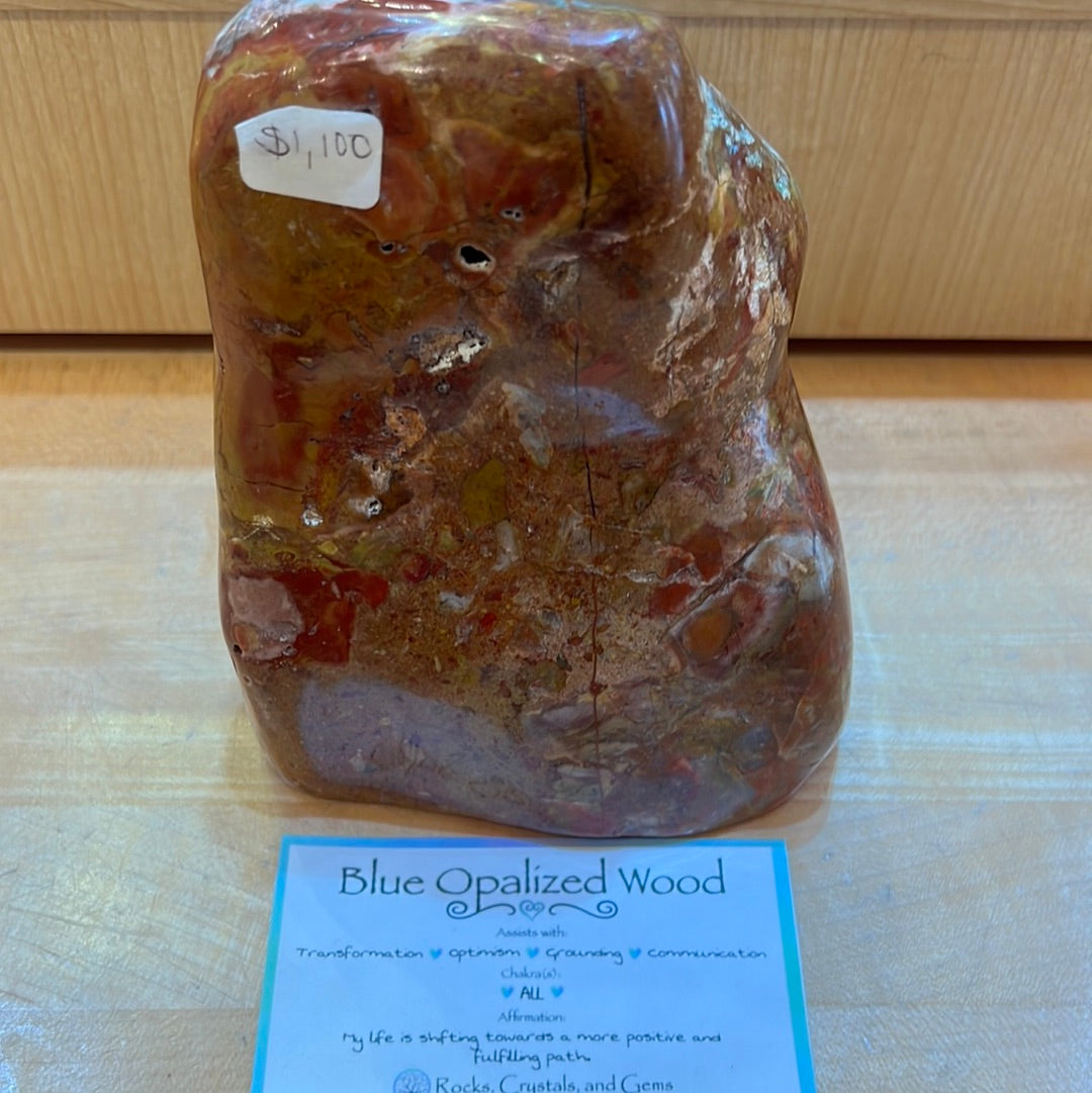 Rare Blue Opalized Petrified Wood With Chrysocolla From Indonesia