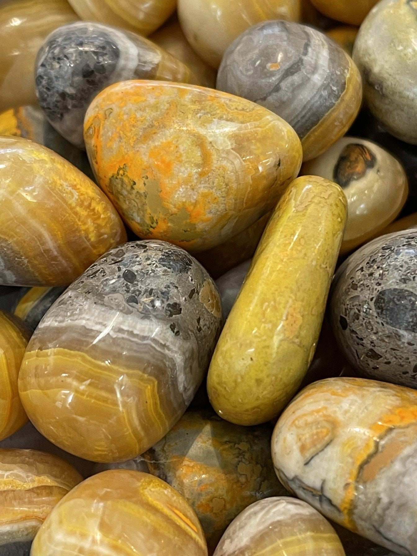 Bumble Bee Jasper Tumbles