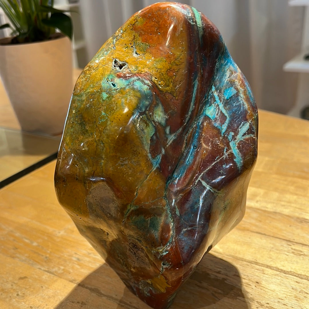 Rare Blue Opalized Petrified Wood With Chrysocolla From Indonesia