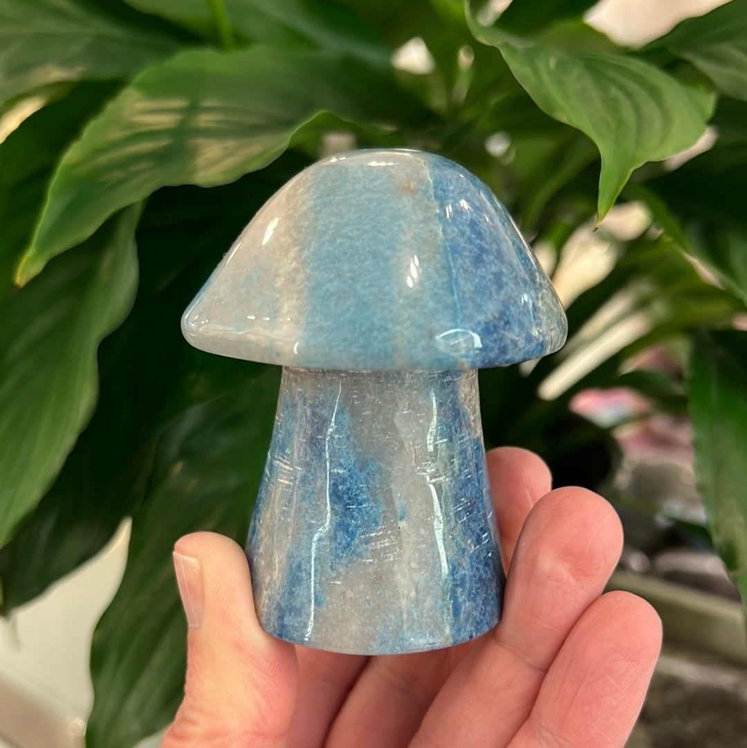 Trolleite Mushroom
