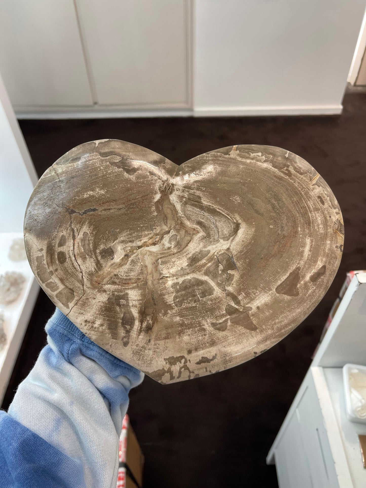 Large Petrified Wood Heart