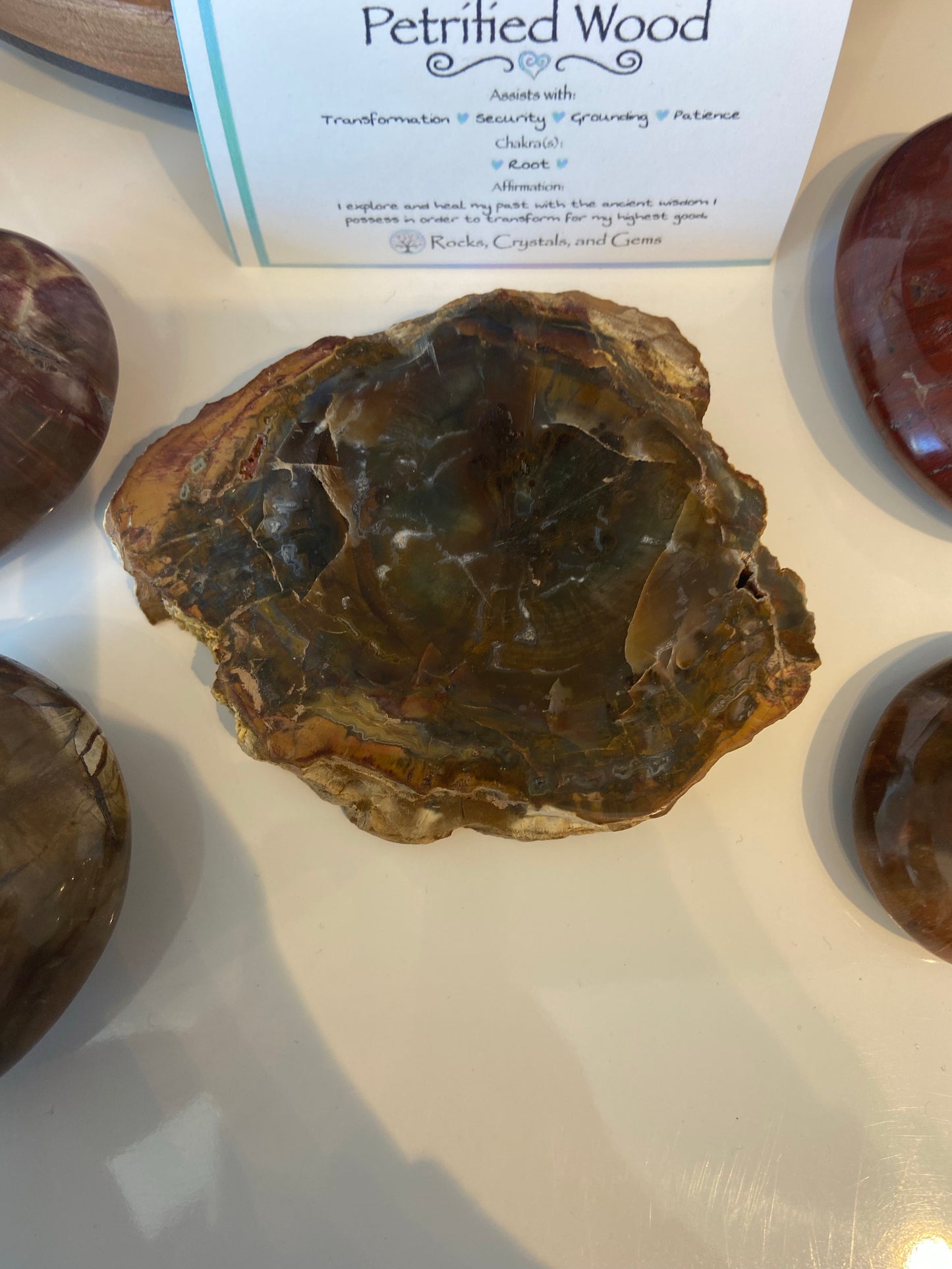 Petrified Wood Slab