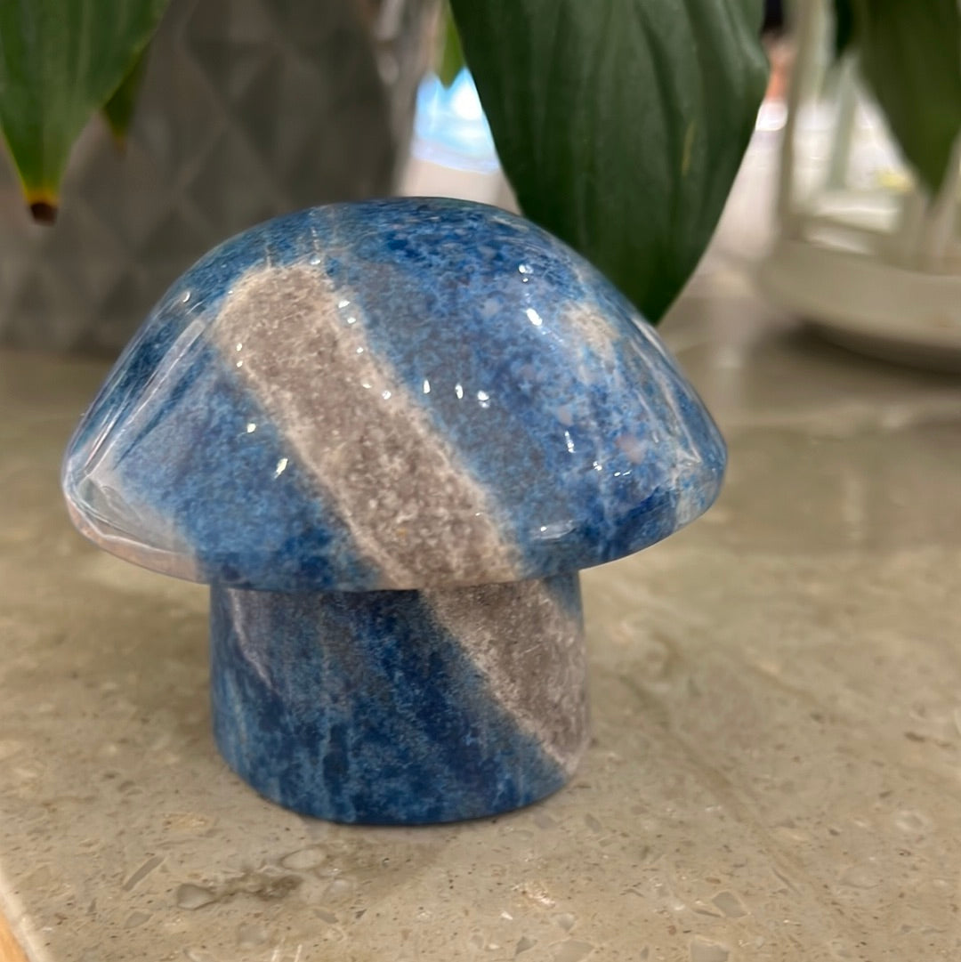 Trolleite Mushroom