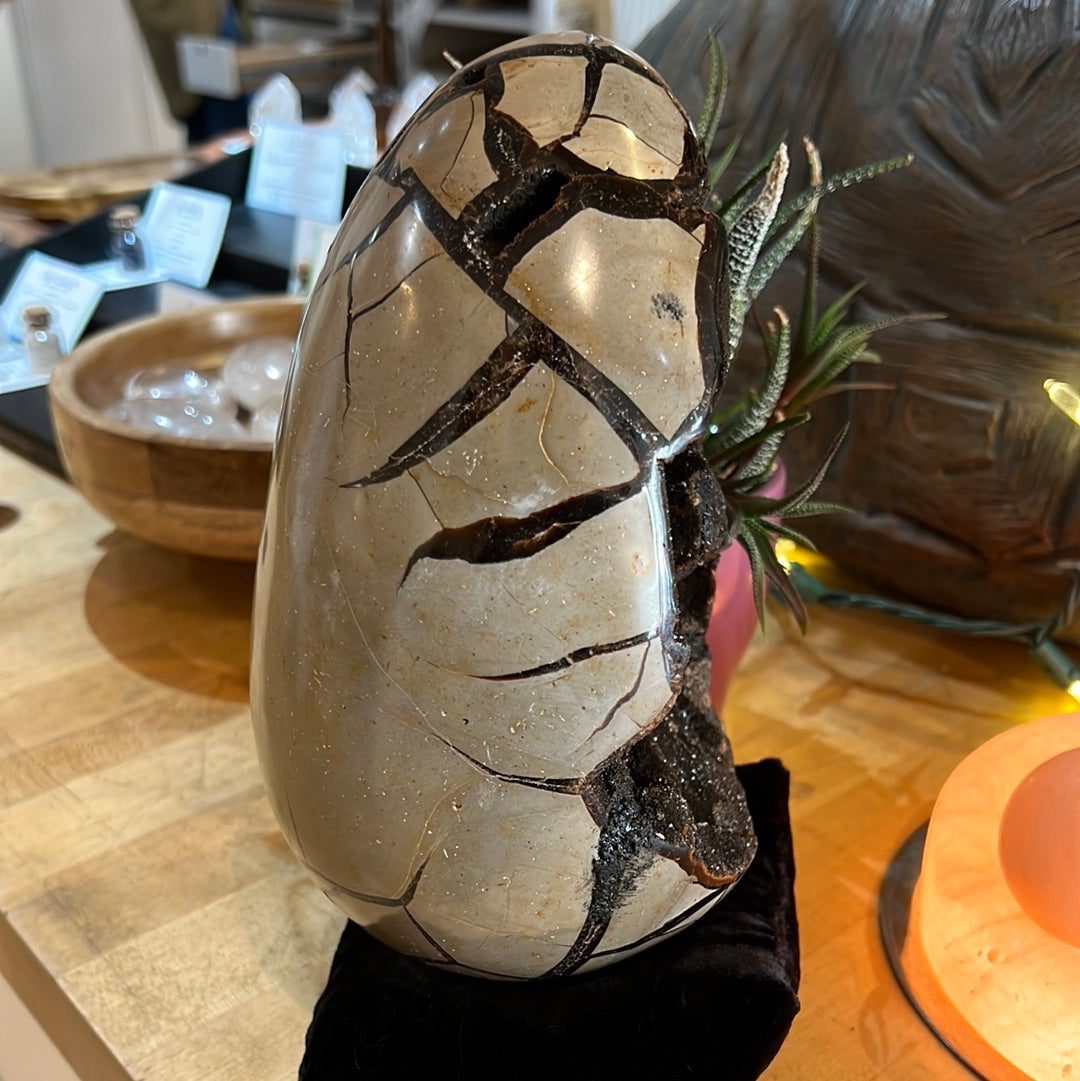 Septarian Egg