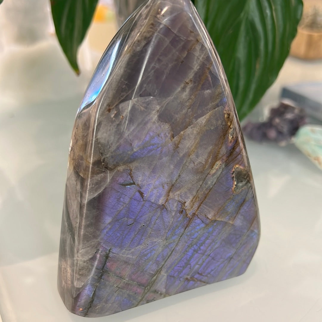 Purple Labradorite Freeform