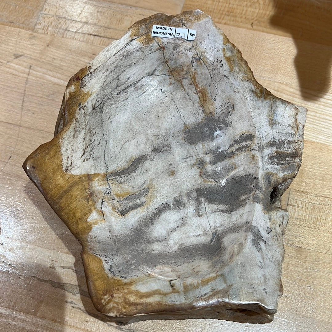 Petrified Wood Bowl