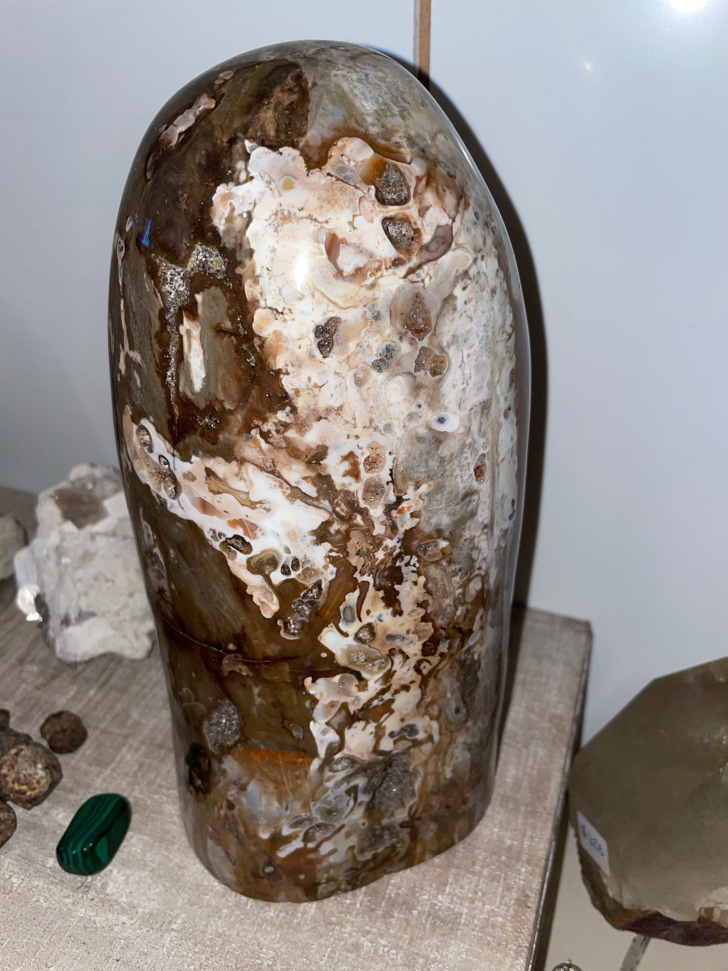 Rare Ocean Jasper and Petrified Wood Statement Piece