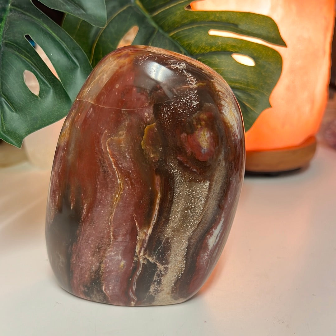 Petrified Wood Freeform