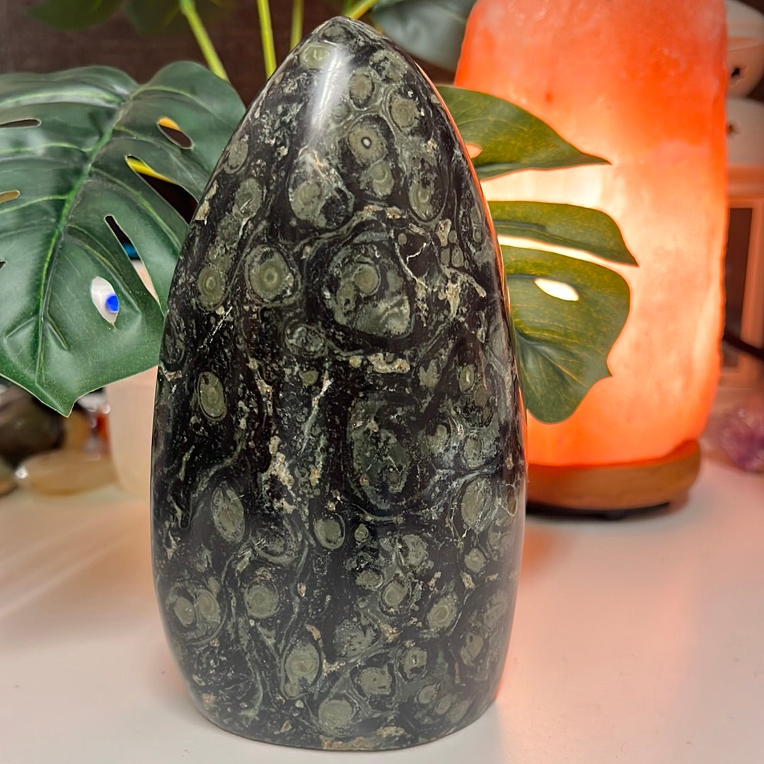 Kambaba Jasper Freeform