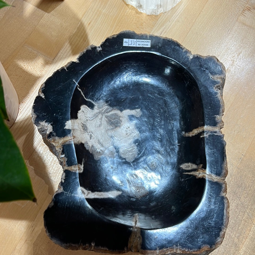 Petrified Wood Bowl
