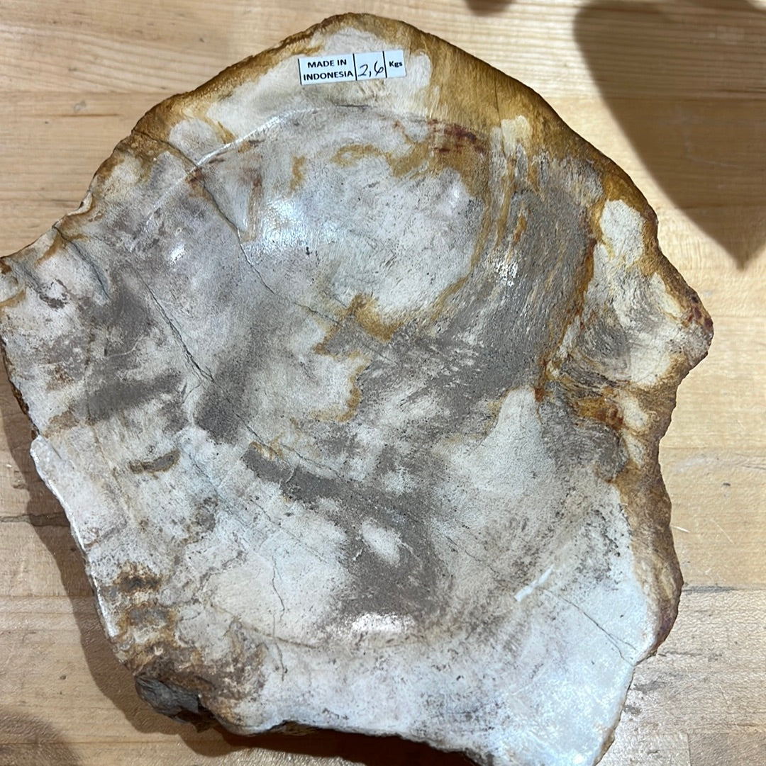 Petrified Wood Bowl