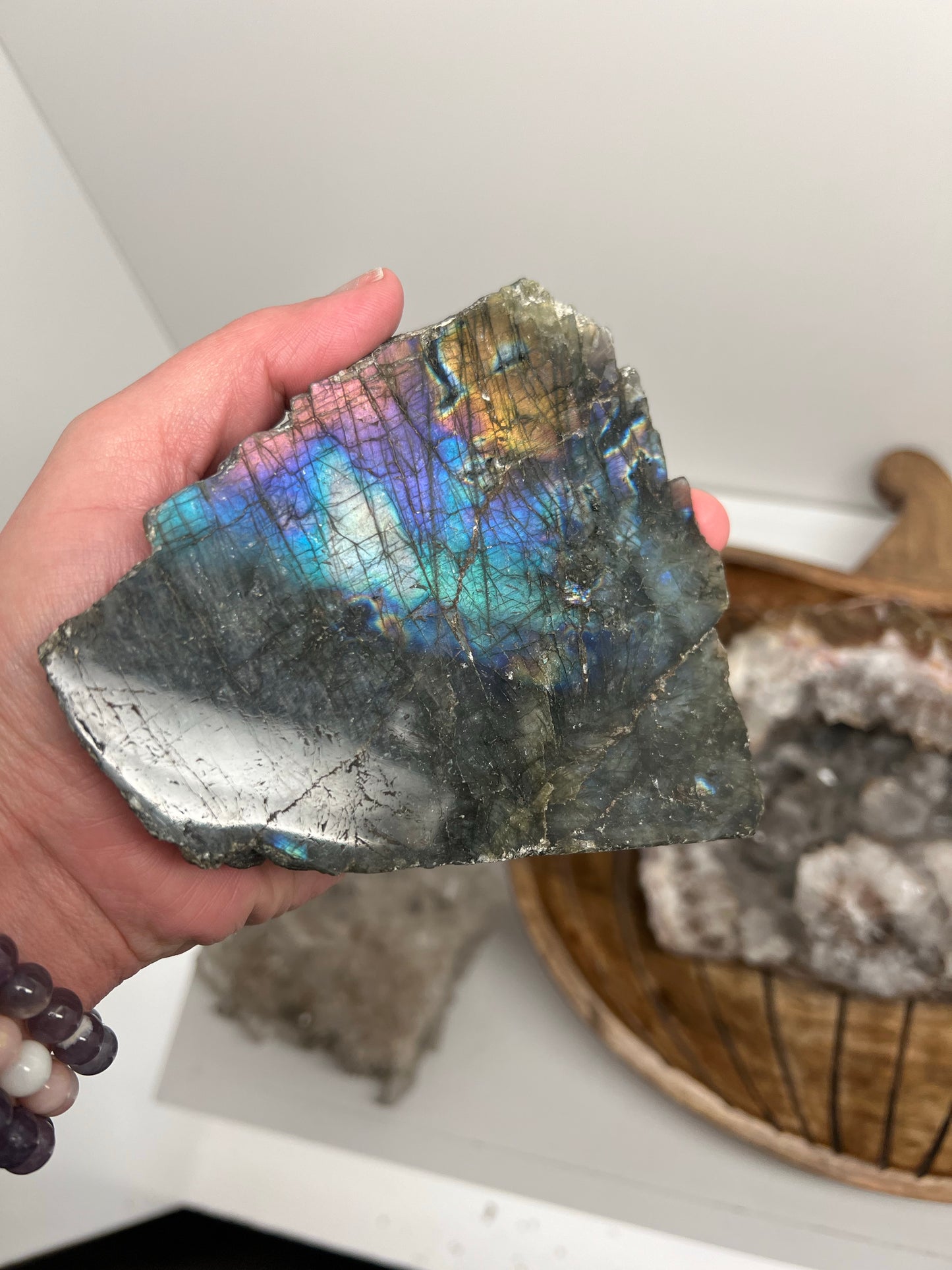 Purple Lab Half Polished