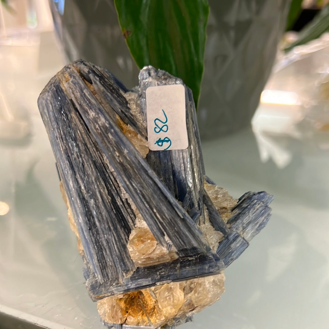 Kyanite Cluster