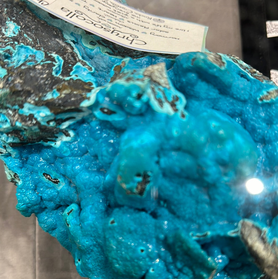 Unique Chrysocolla Display Piece