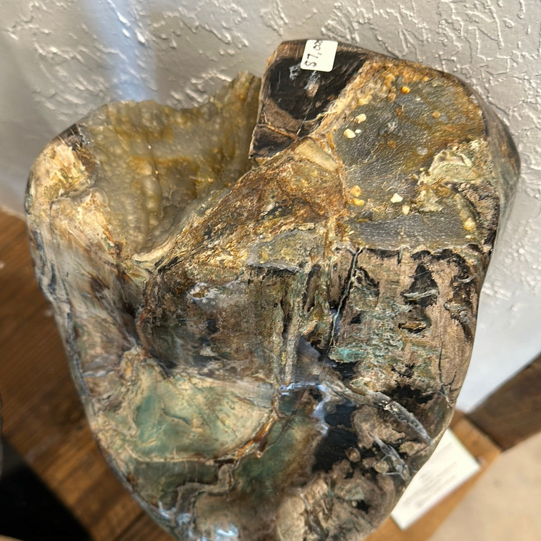 Rare Blue Opalized Petrified Wood with Chrysocolla and Malachite