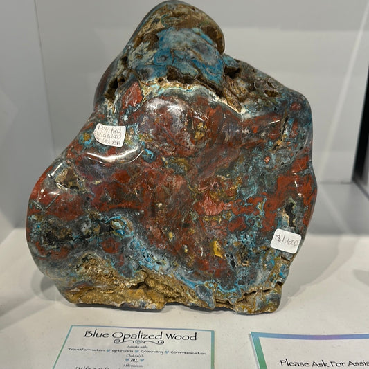Rare Blue Opalized Petrified Wood With Chrysocolla From Indonesia