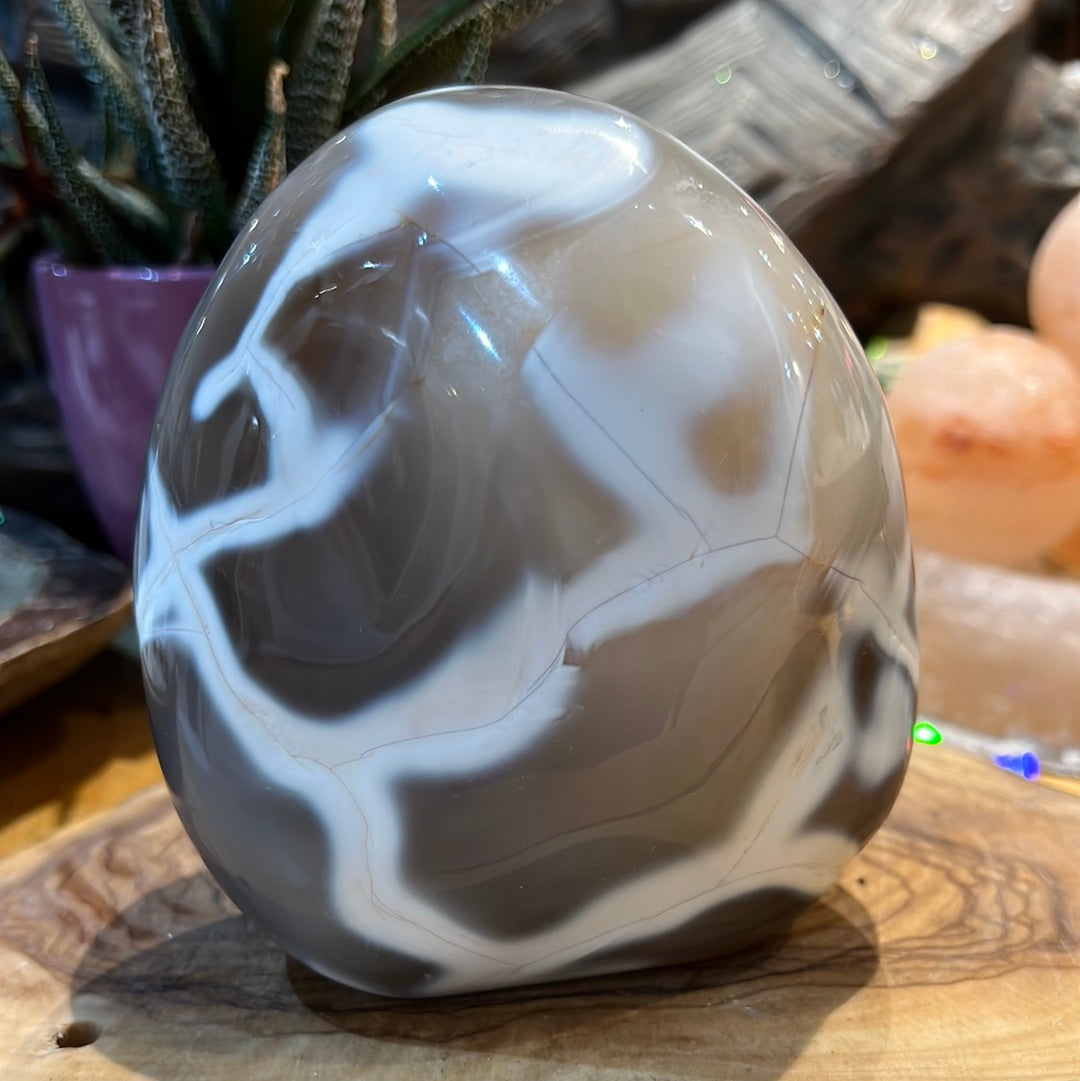 Orca Agate Freeform