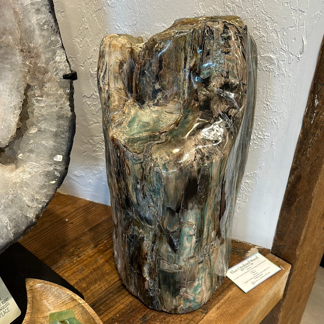 Rare Blue Opalized Petrified Wood with Chrysocolla and Malachite