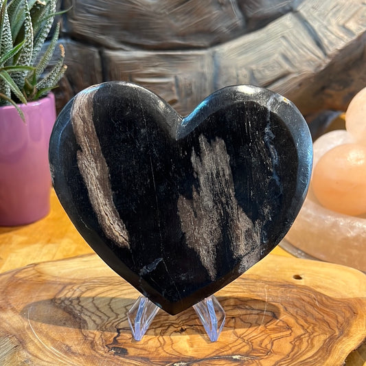 Petrified Wood Heart