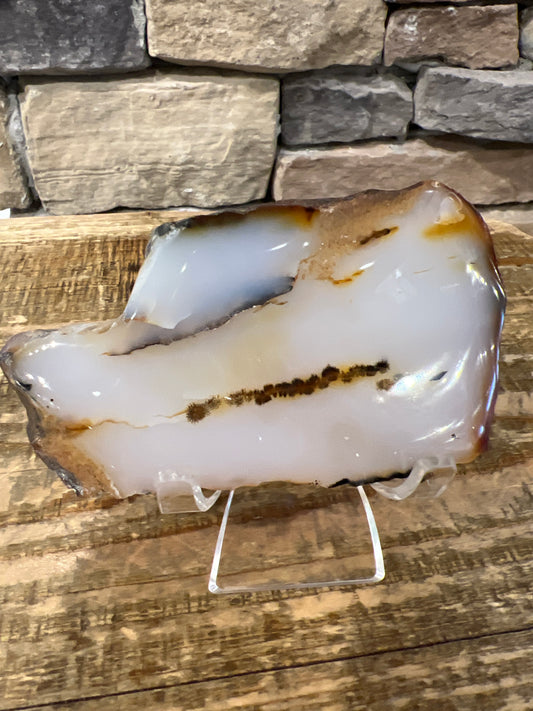 Thick Dendritic Agate Slab