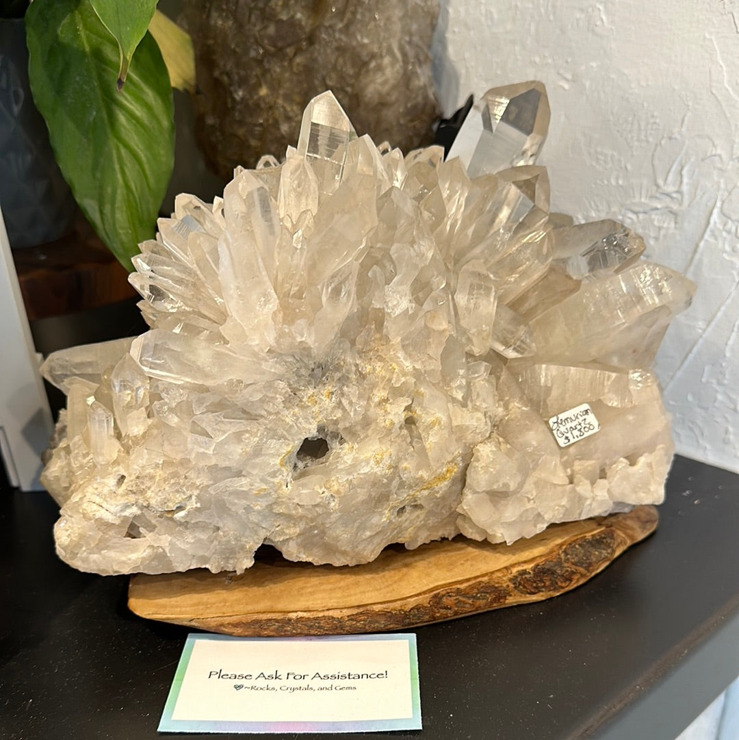 Rare Brazilian Lemurian Cluster