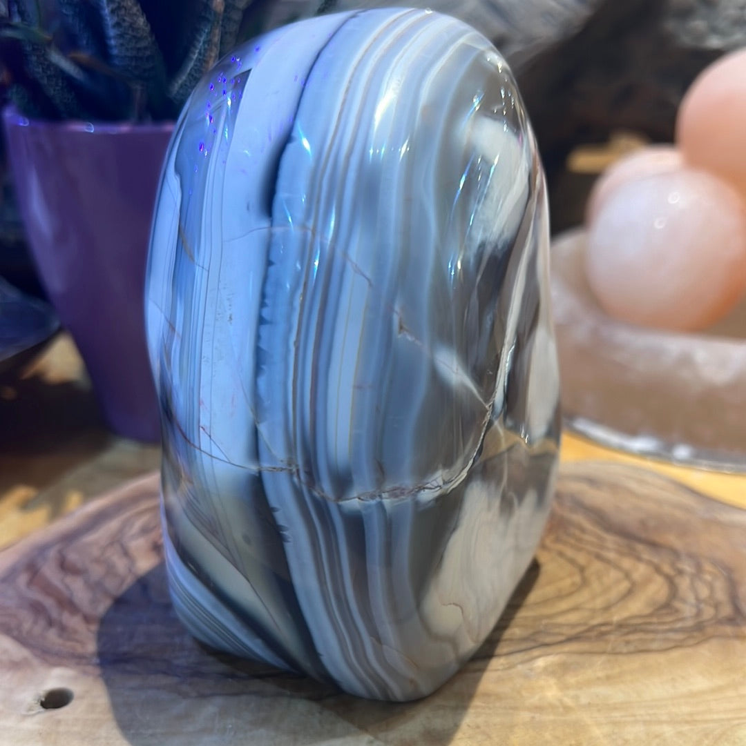 Orca Agate Freeform
