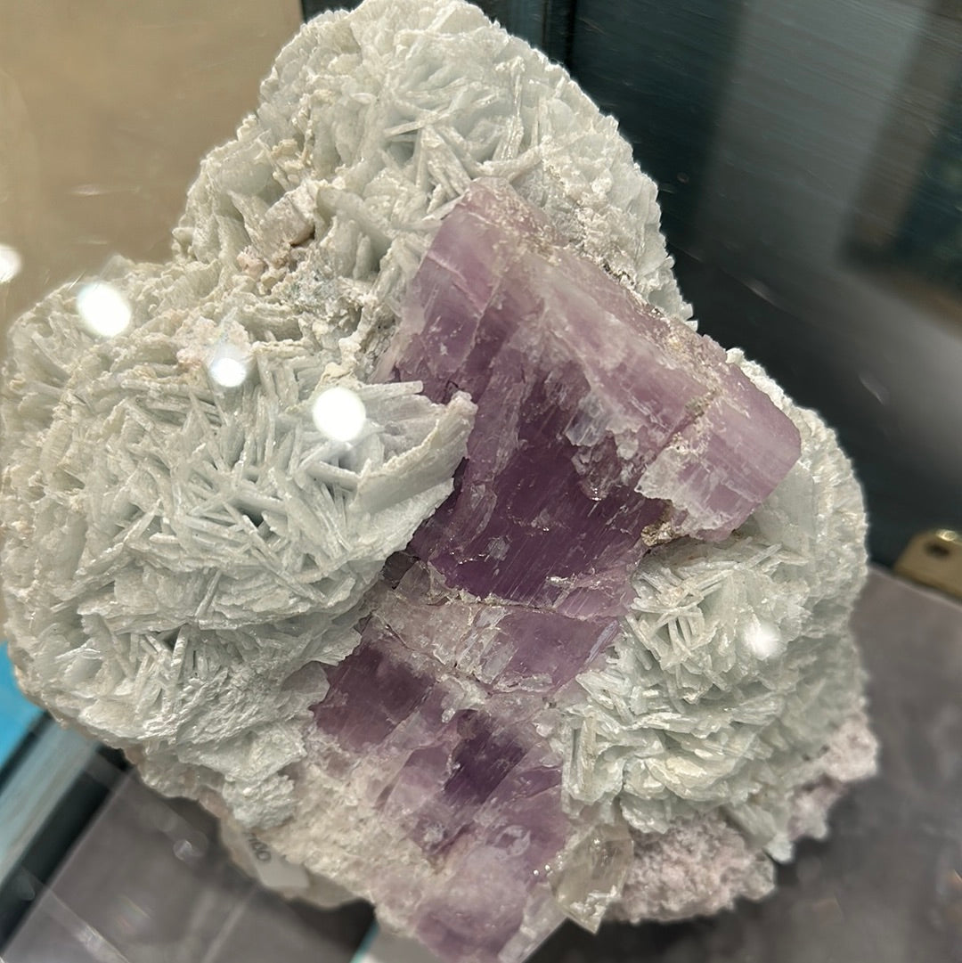 Kunzite Collector’s Piece