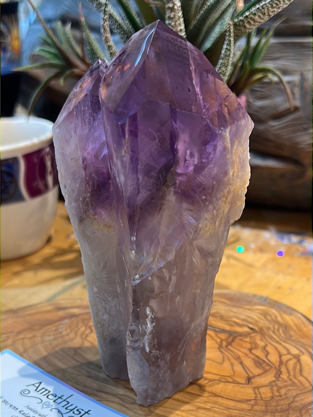 Twin Amethyst Root With Phantoms From Brazil