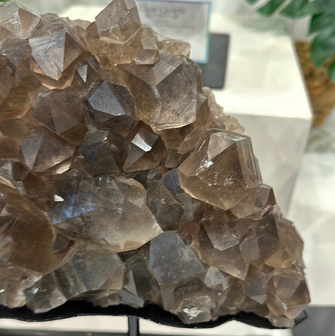 Smoky Quartz Cluster on Custom Stand