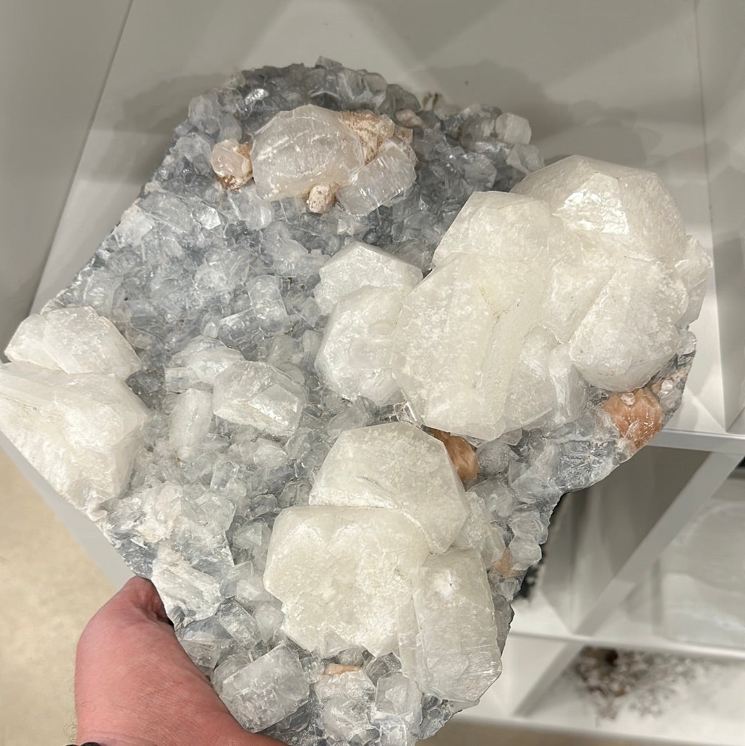 Apophyllite Cluster