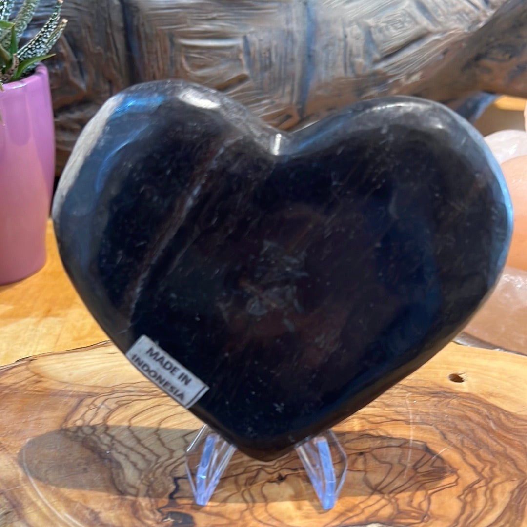 Petrified Wood Display Piece