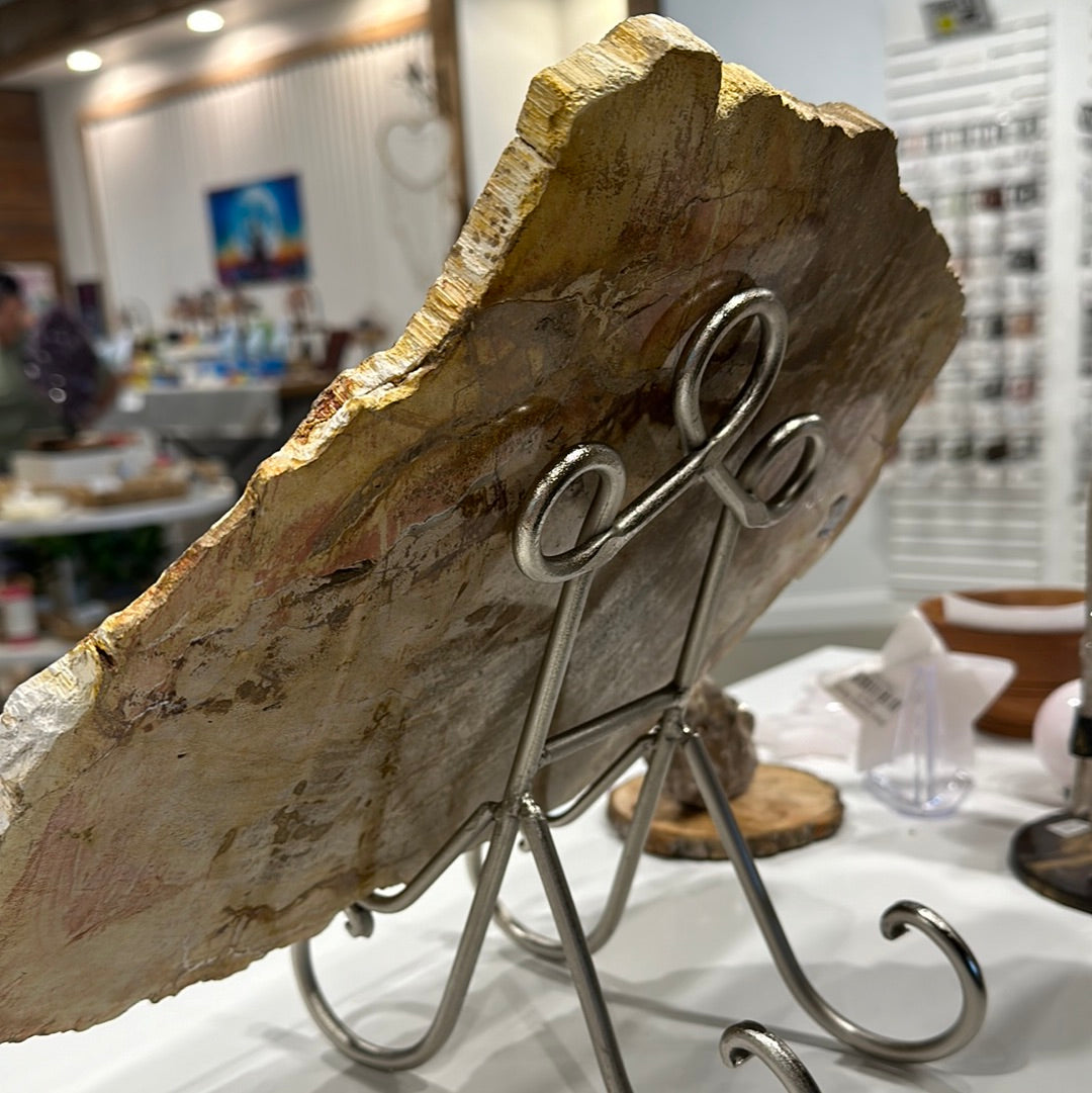 Large Petrified Wood Slab