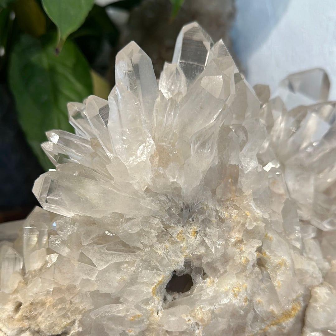 Rare Brazilian Lemurian Cluster