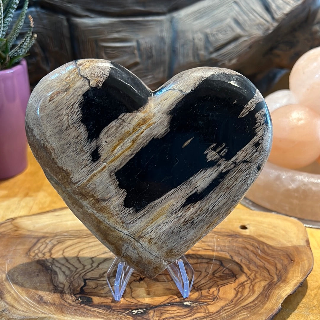 Petrified Wood Heart