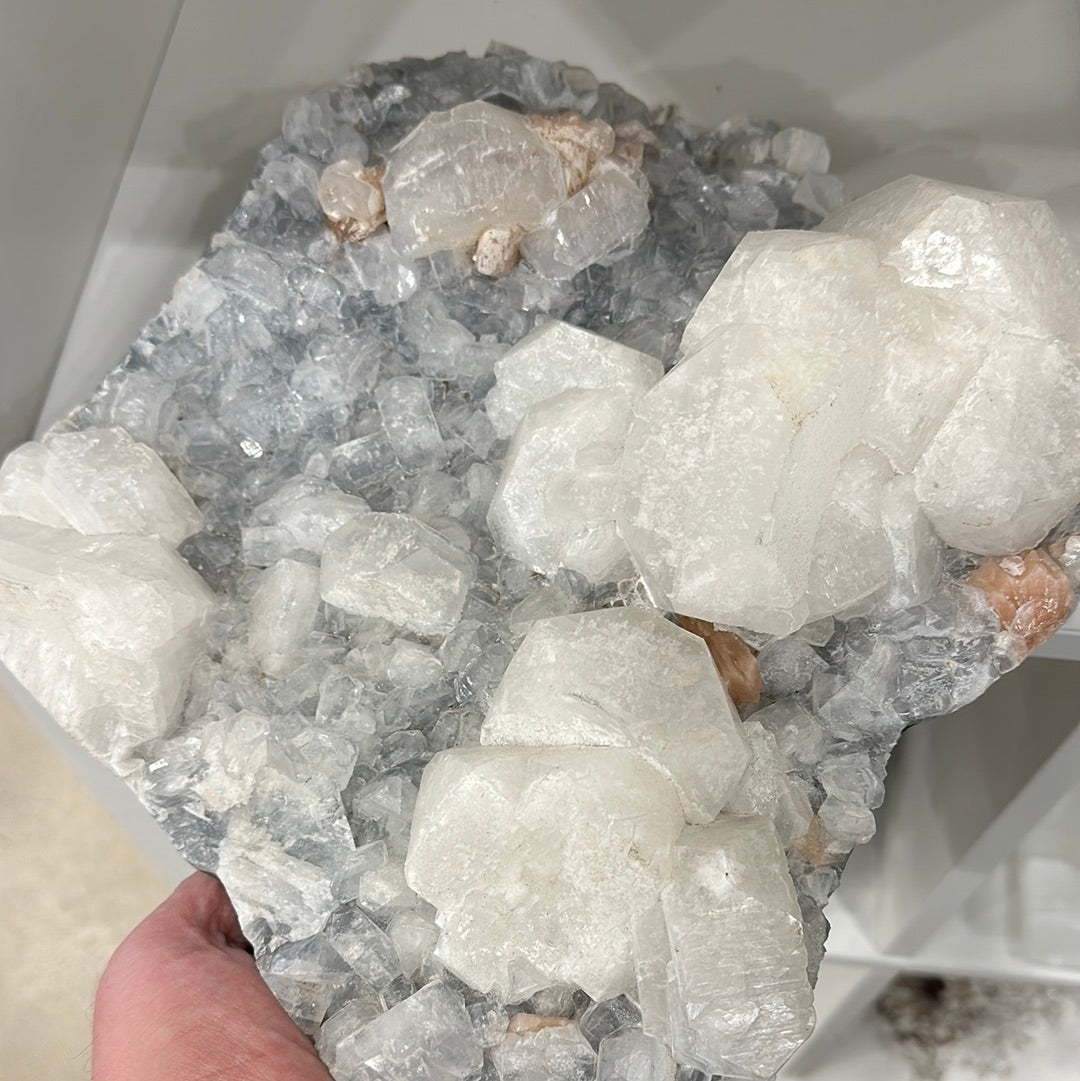 Apophyllite Cluster