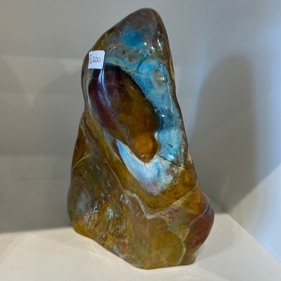 Rare Blue Opalized Petrified Wood With Chrysocolla From Indonesia