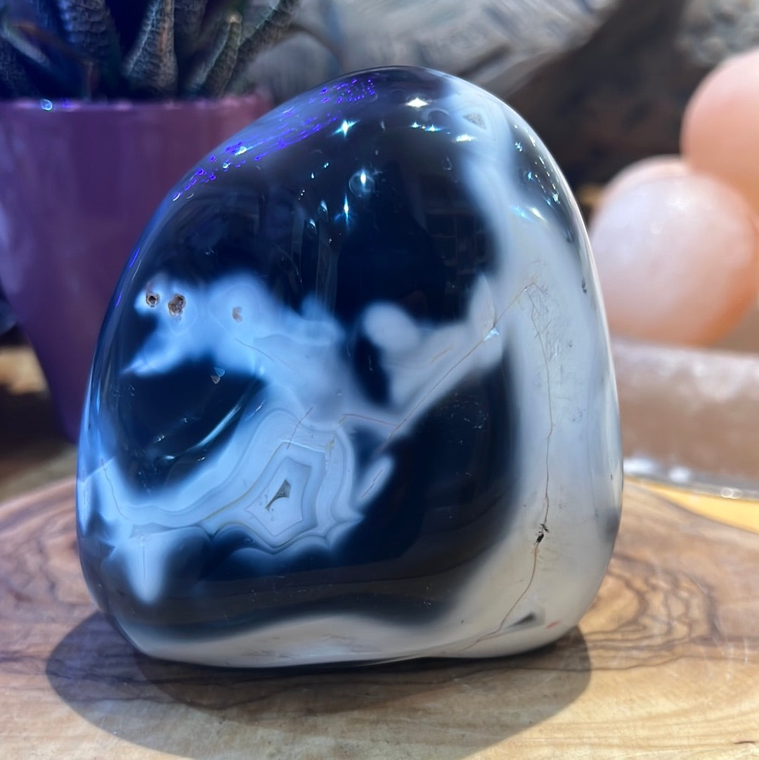 Orca Agate Freeform