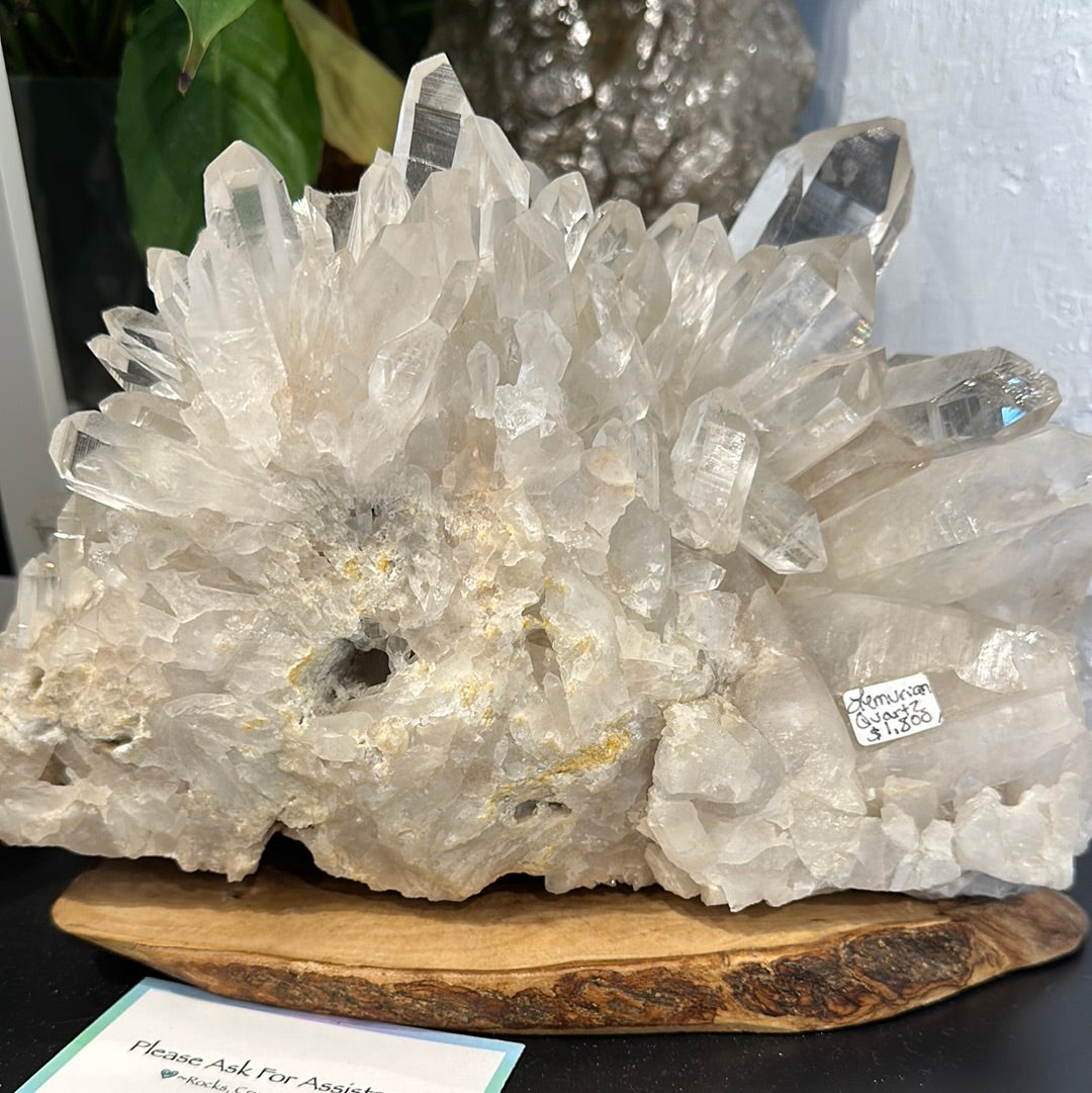 Rare Brazilian Lemurian Cluster
