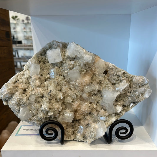 Apophyllite Cluster on Stand
