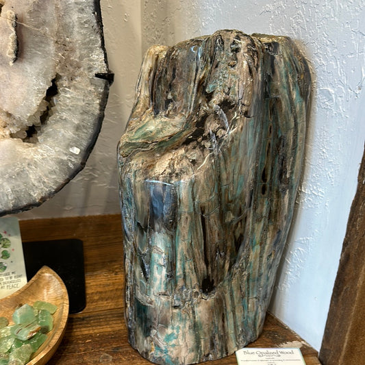 Rare Blue Opalized Petrified Wood with Chrysocolla and Malachite